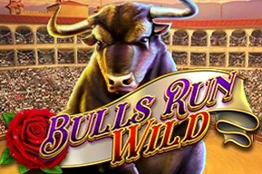 Bulls Run Wild